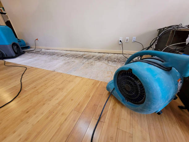 Professional Structural Drying technician working in Draper, UT